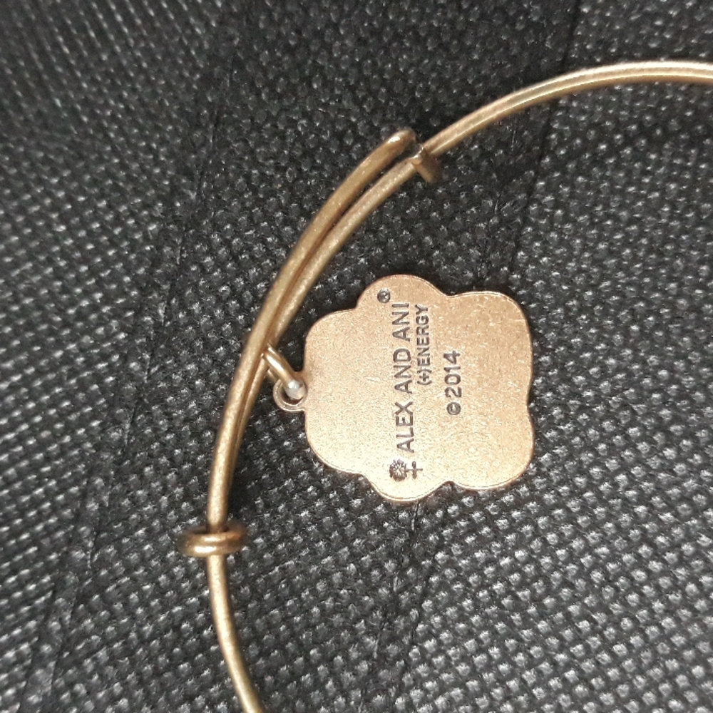 Alex And Ani charm bracelet - Picture 3 of 5